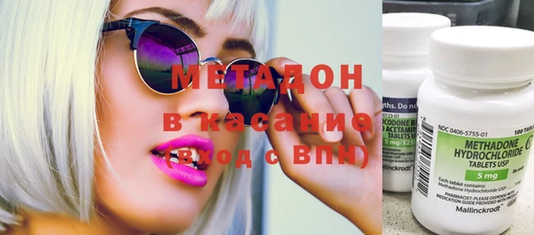 прущие грибы Горняк