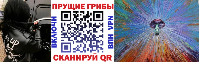 Псилоцибиновые грибы MAGIC MUSHROOMS  продажа наркотиков  Дзержинский 